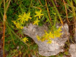 2013-10-08_Guffert (117).JPG